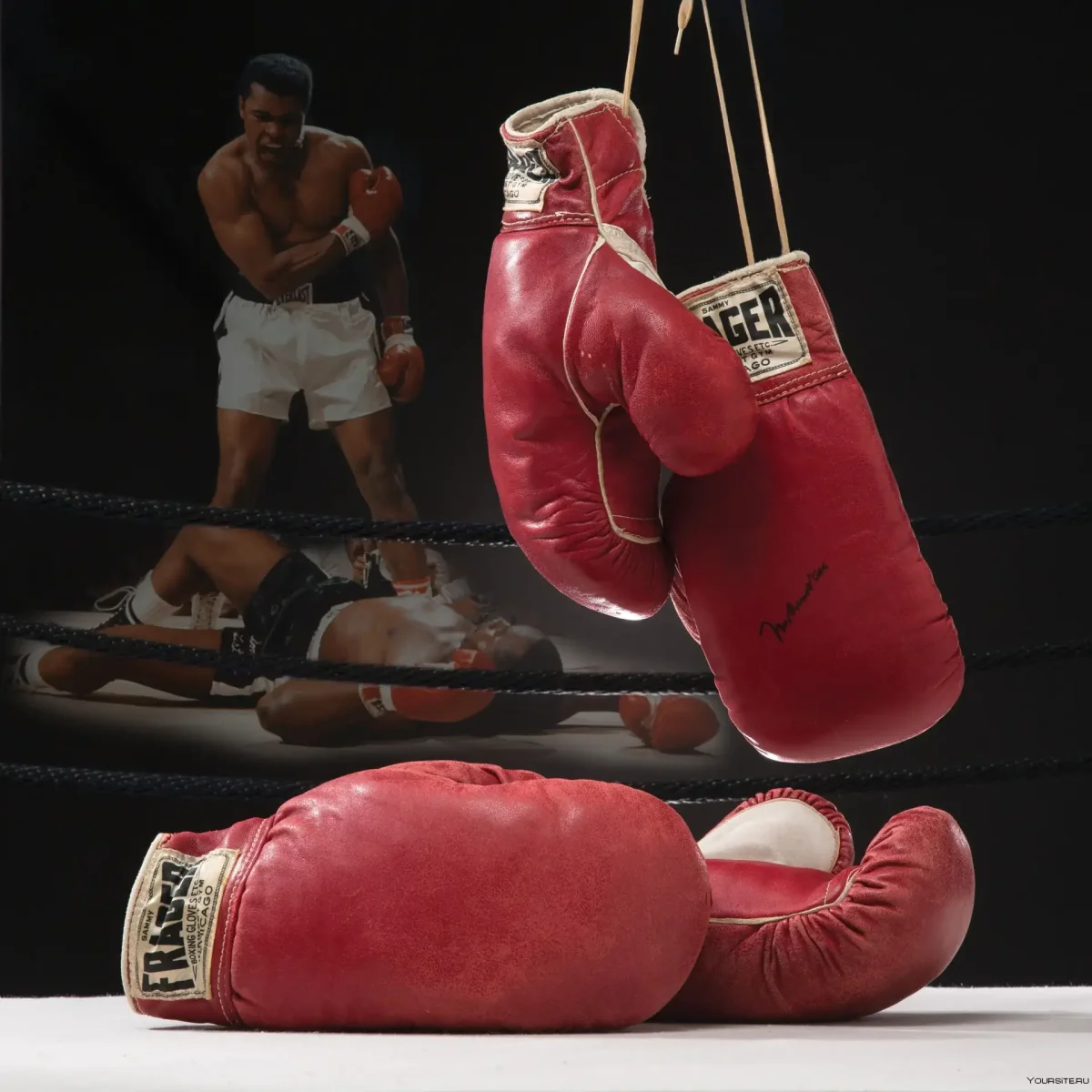 Смешной боксер