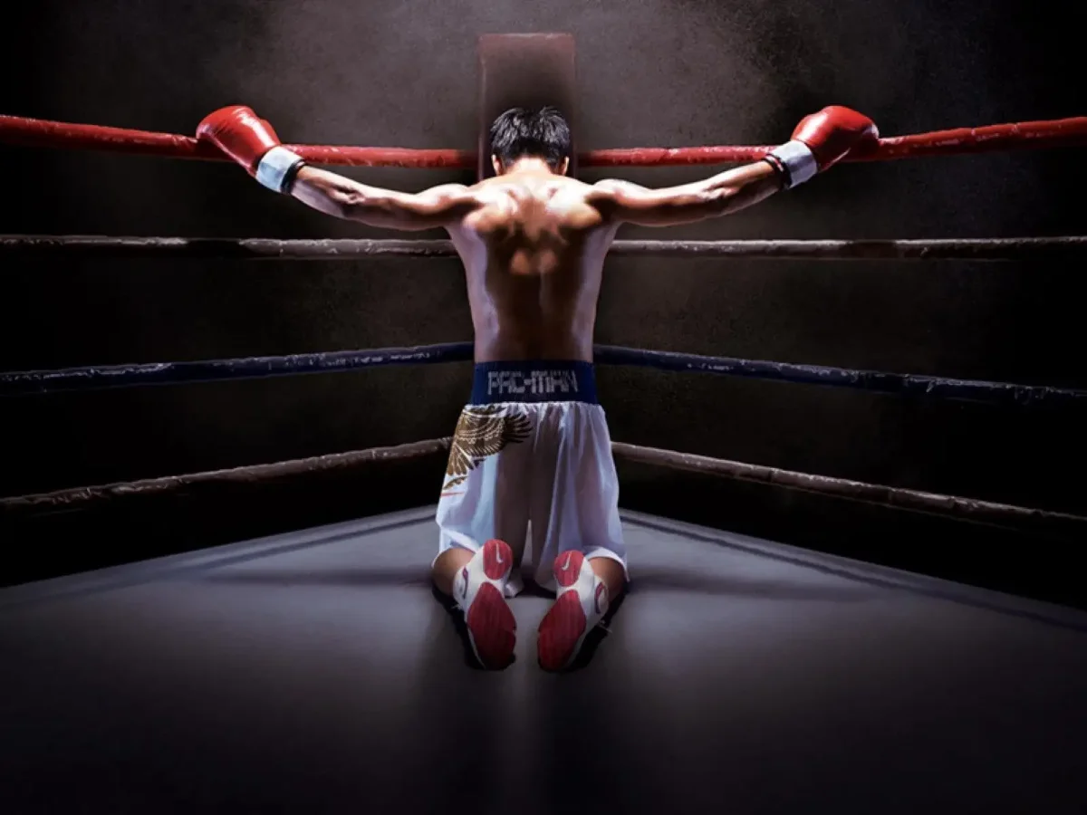 Боксер в тени