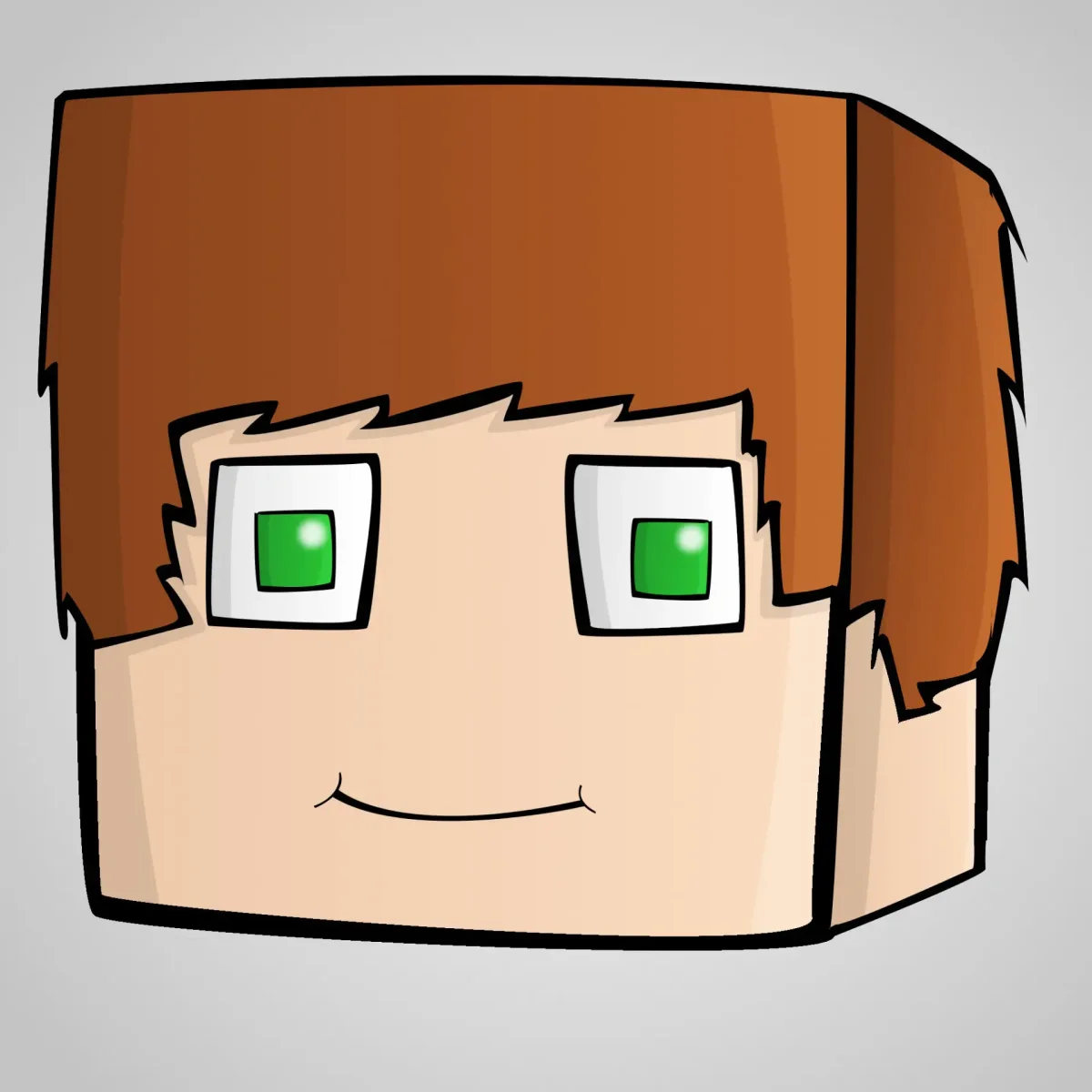 Головы из МАЙНКРАФТА