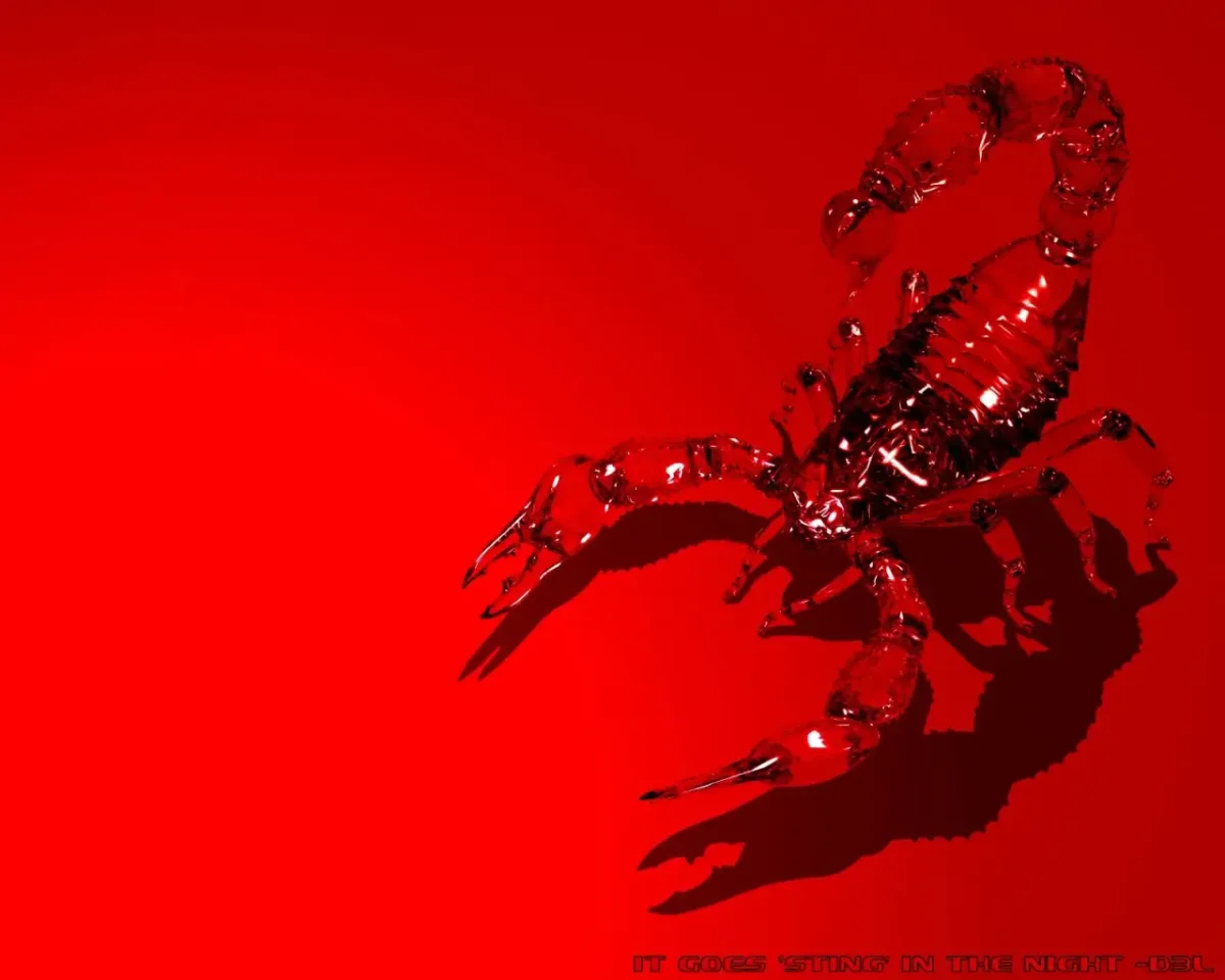 Скорпион картинки красивые