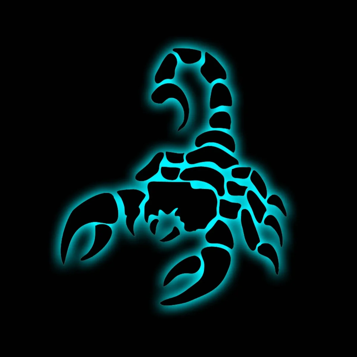 Скорпион с поднятым хвостом