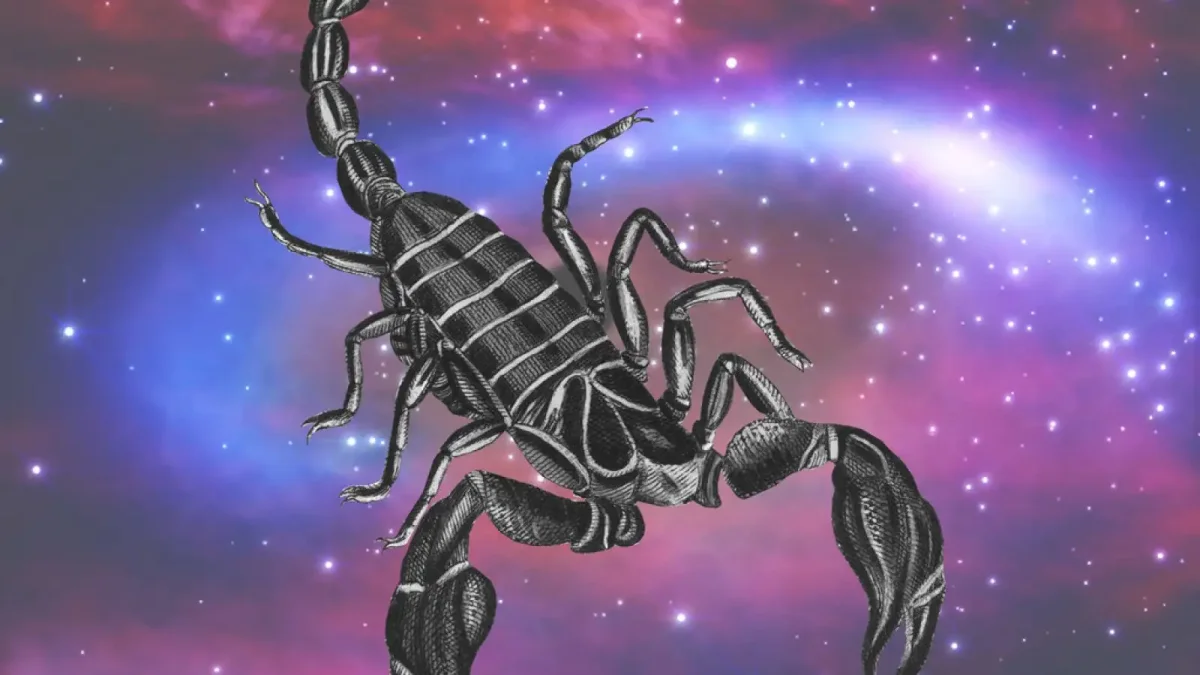 Знак зодиака Скорпион