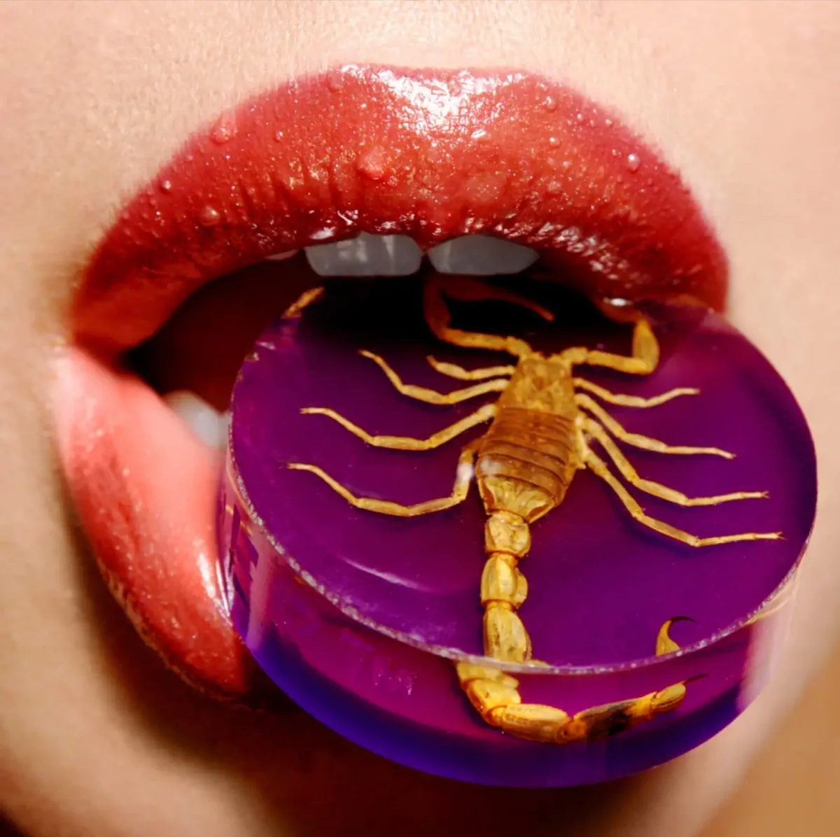 Скорпион на аву