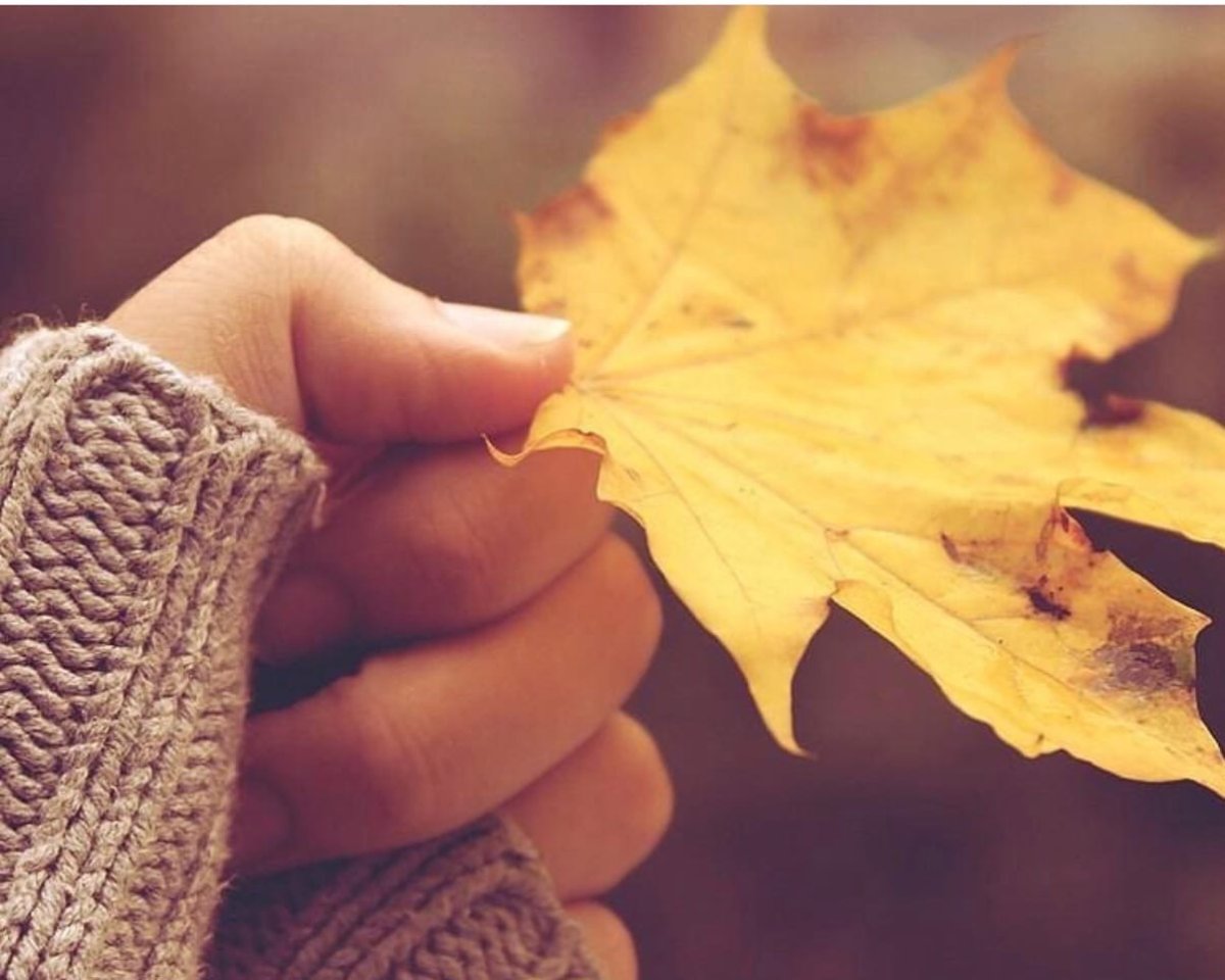 Осенние листья в руках
