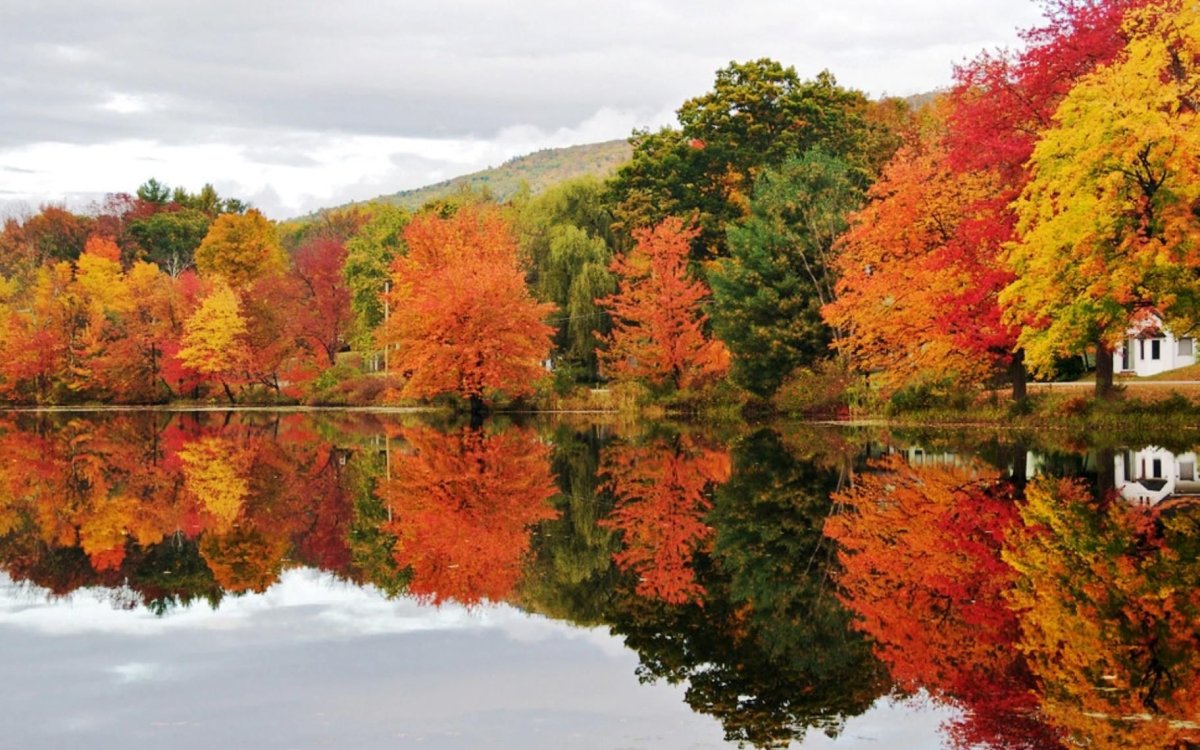 Живая природа осенью