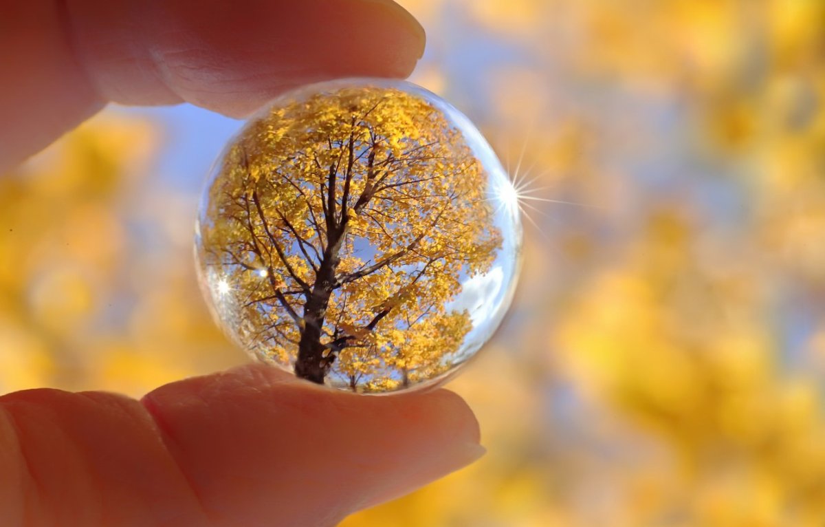 Частичка природы