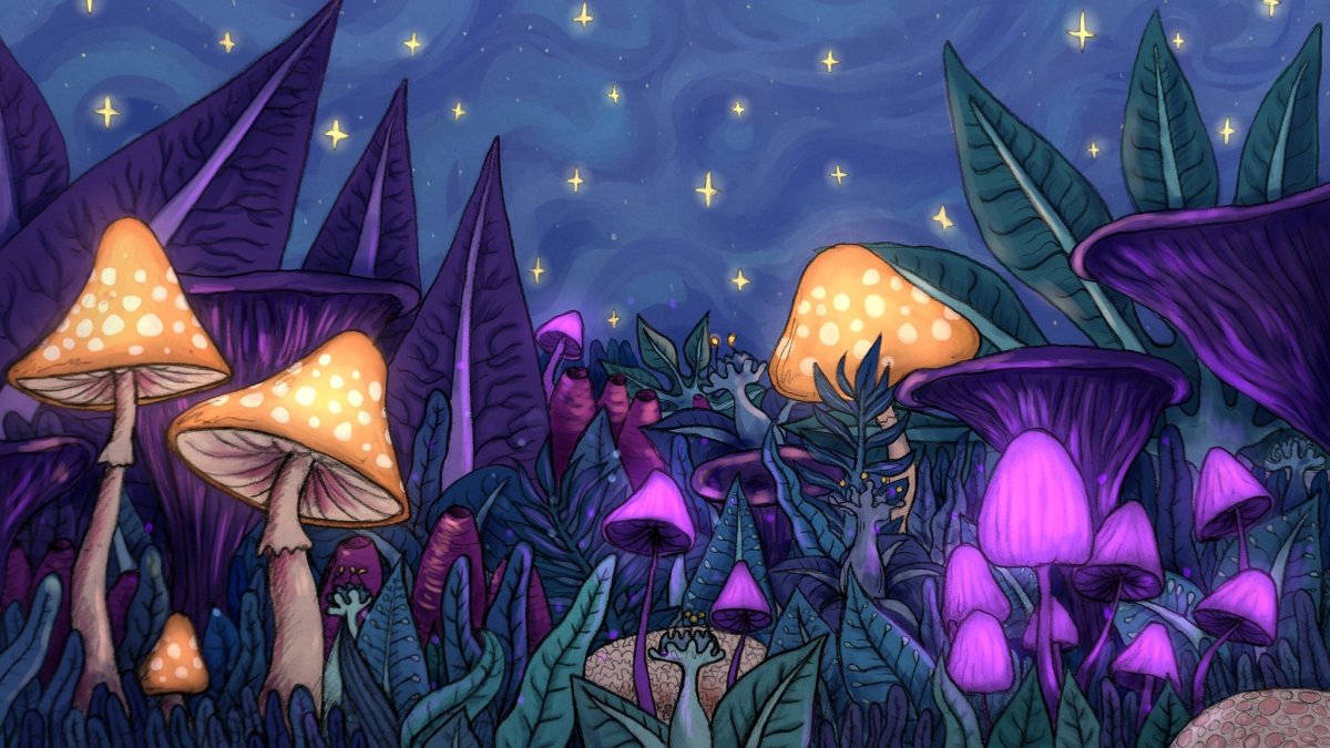 Аманита Мускария психоделика