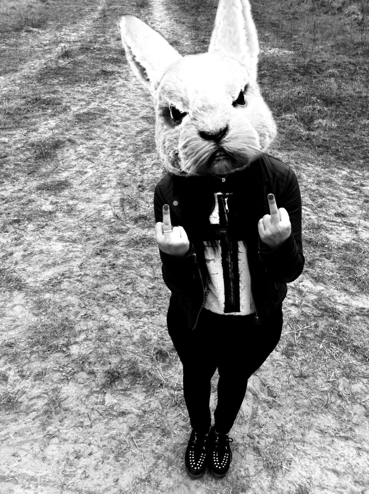 Розовый кролик