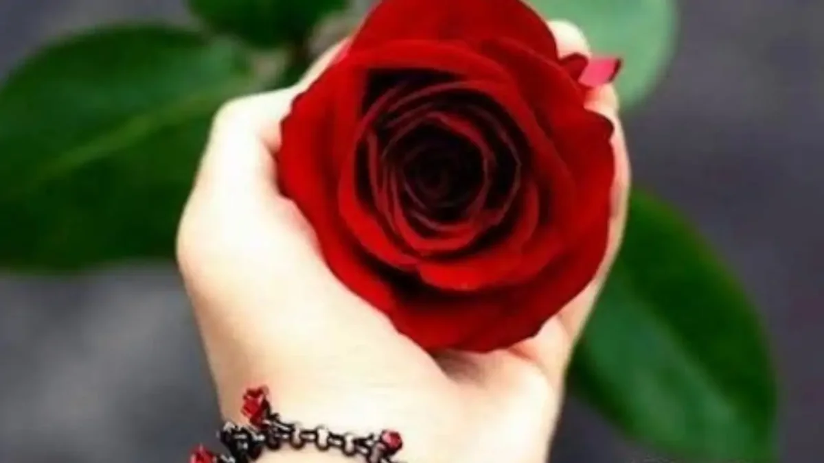 Цветы для профиля