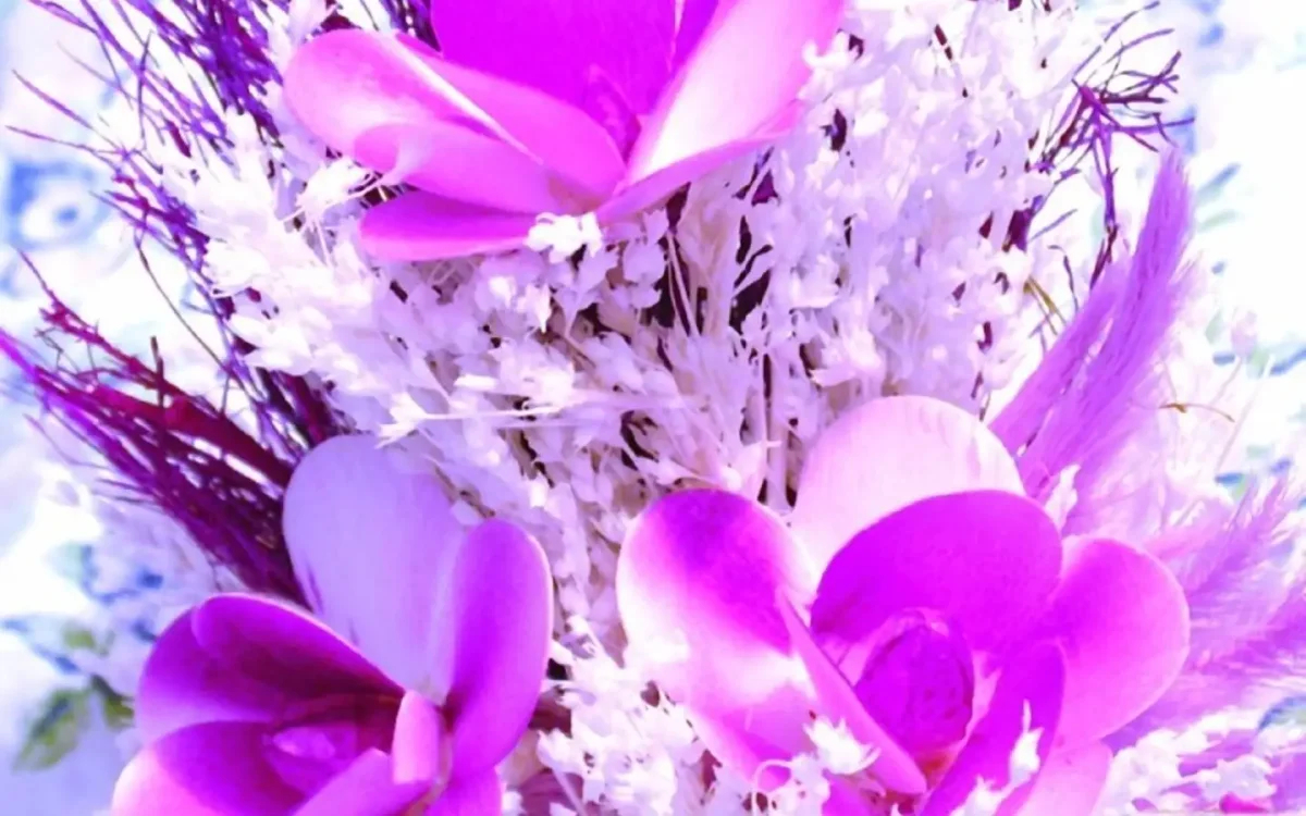 Цветы на вайбер