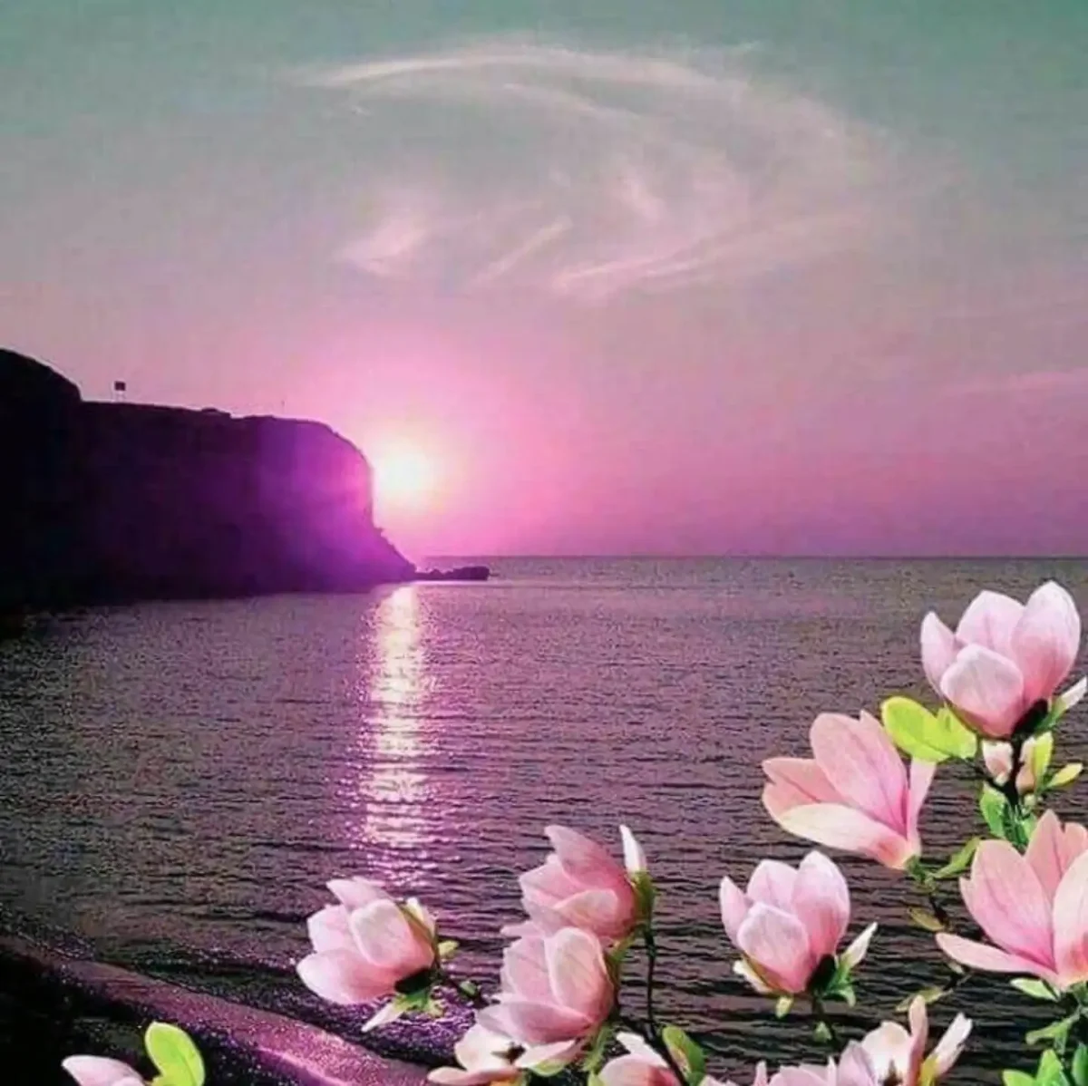 Цветы и море