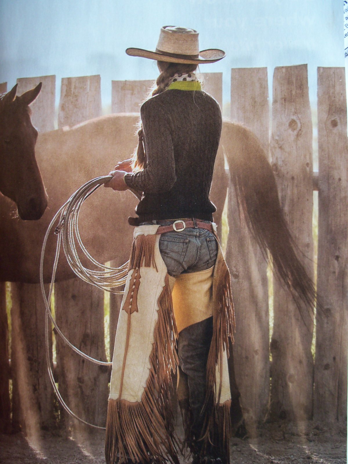 Ковбой дикий Запад Шериф