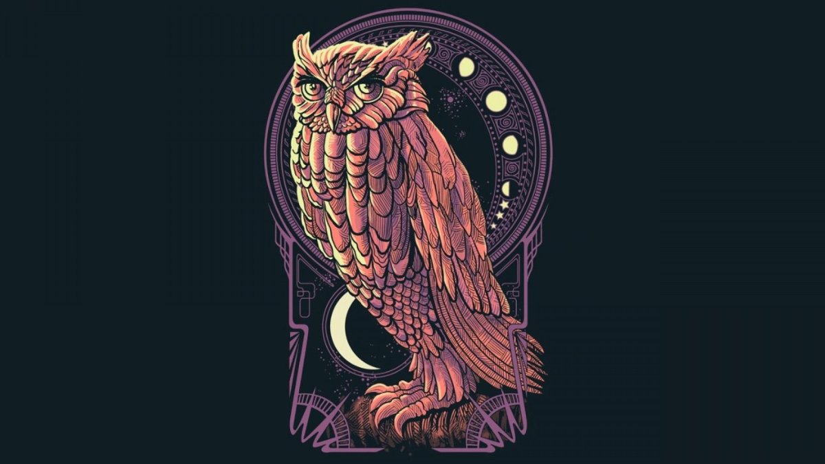 Сова абстракция