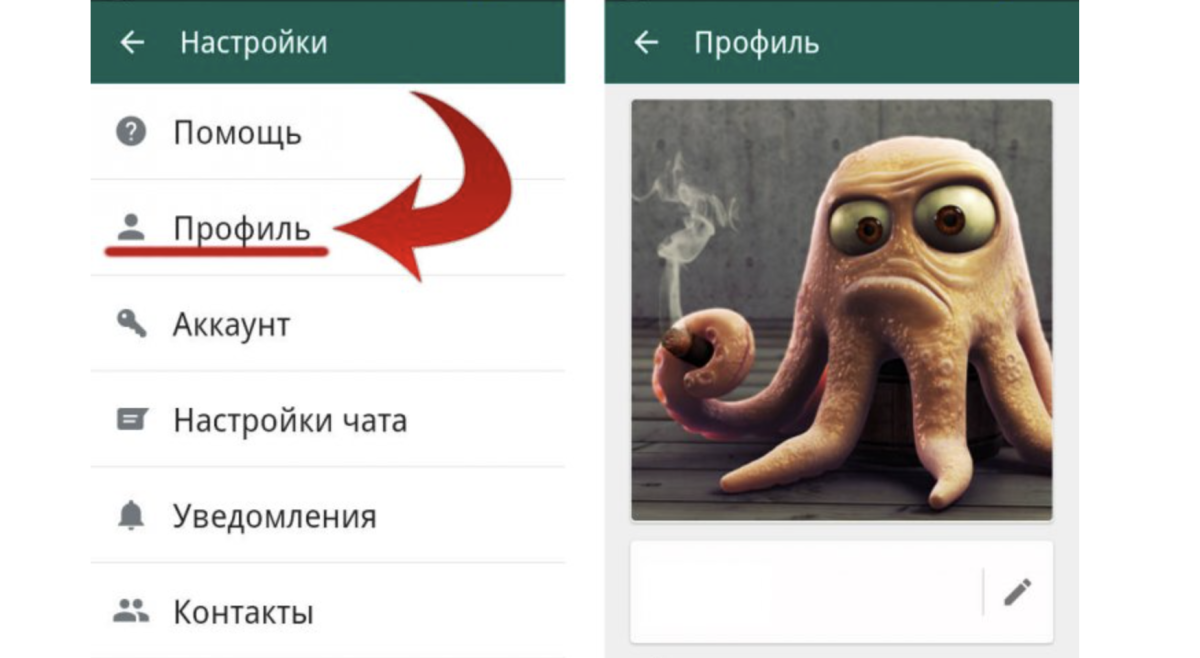 Сменить аватарку в ватсапе