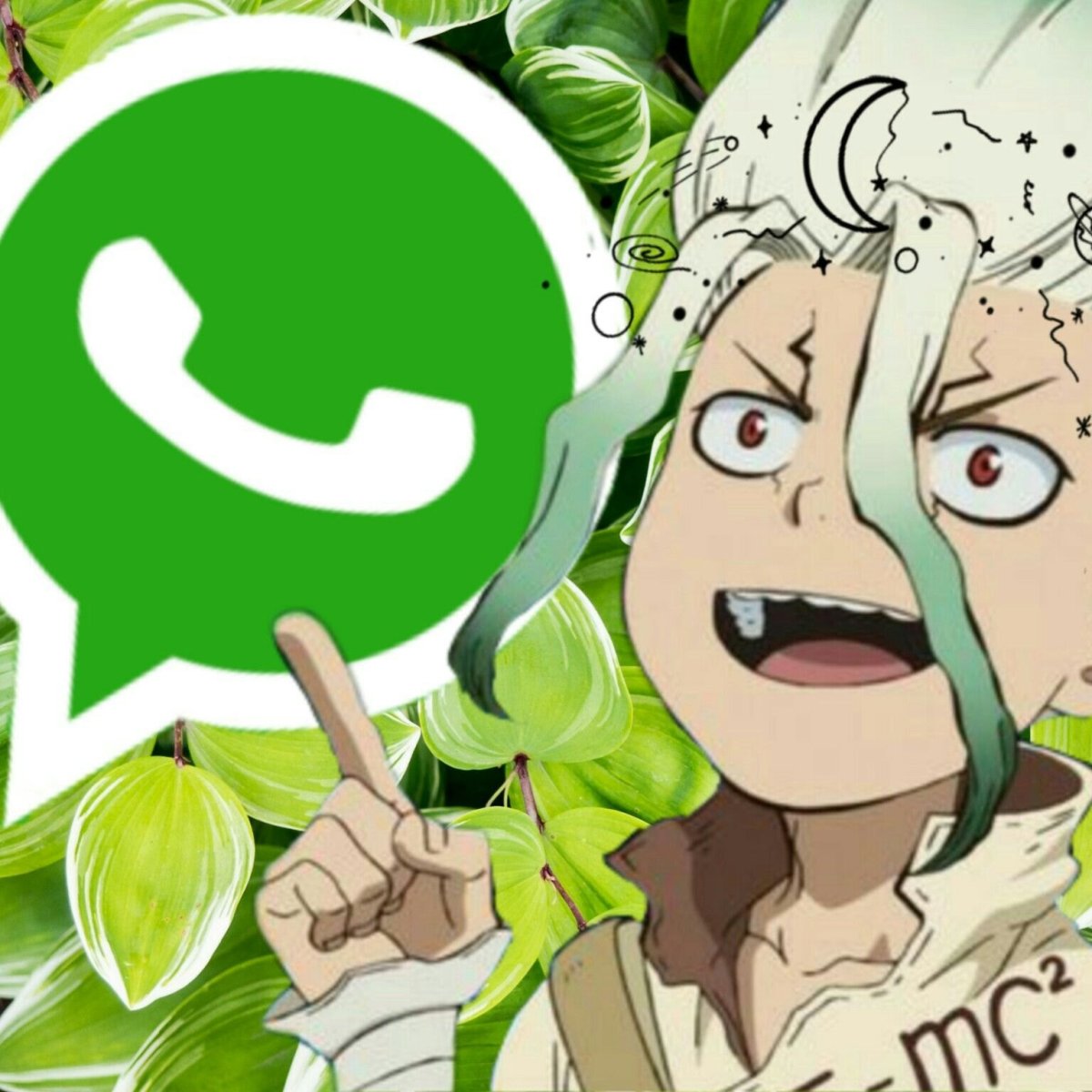 Аниме WHATSAPP