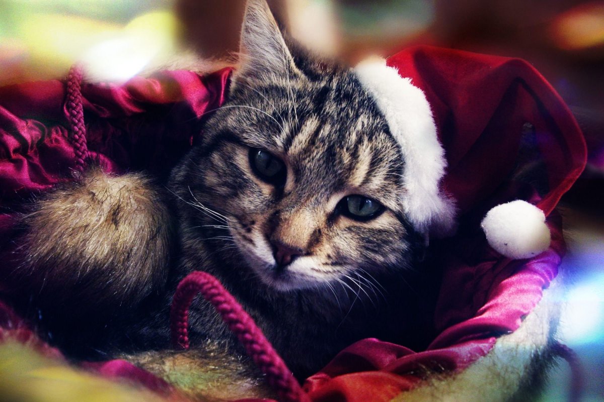 Новогодние авы