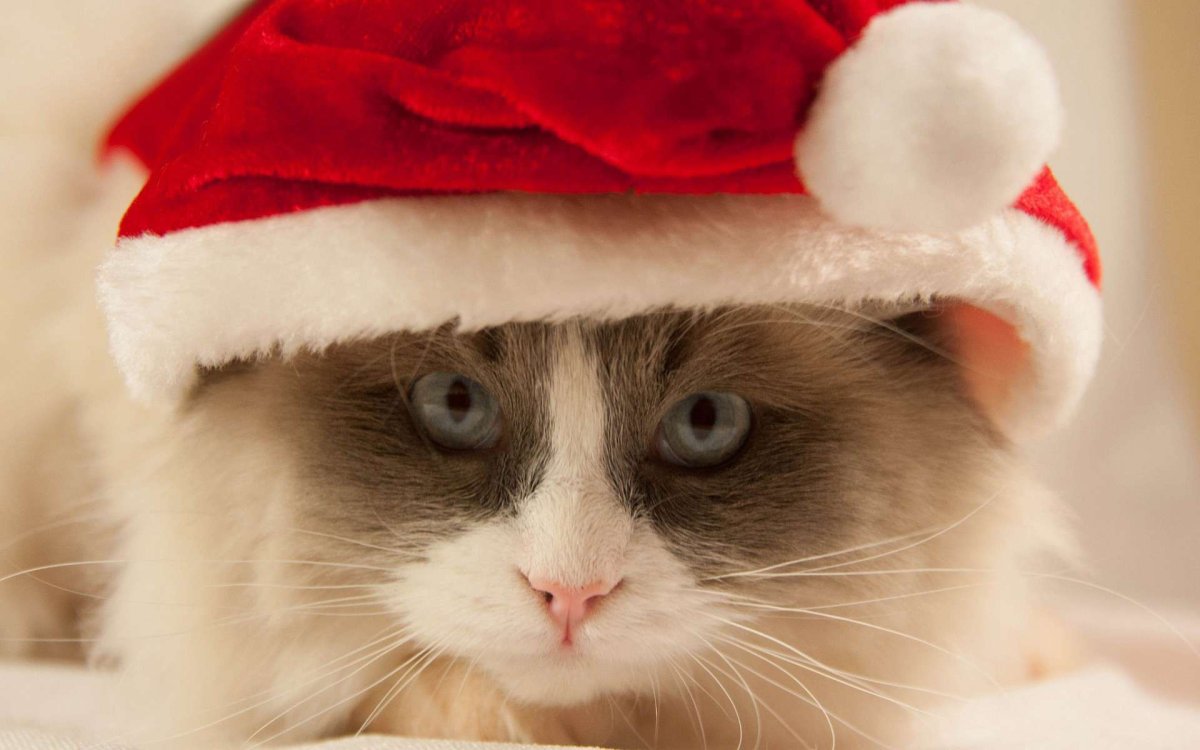 Новогодние авы