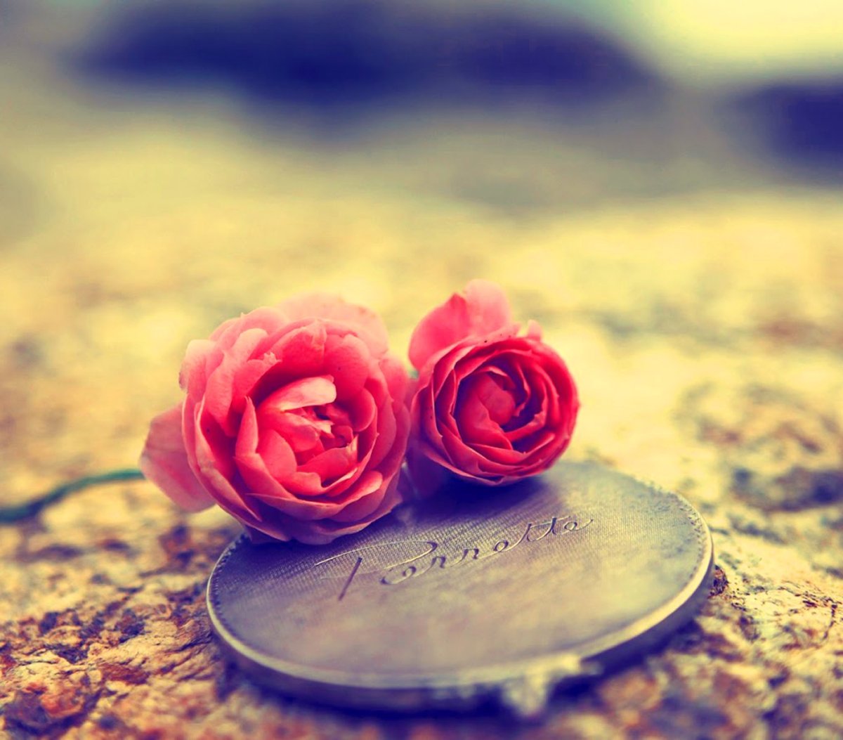 Красивые картины для статуса