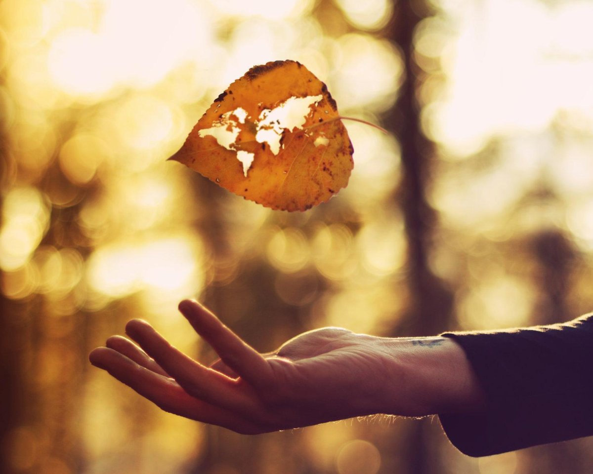 Осень на аву любовь