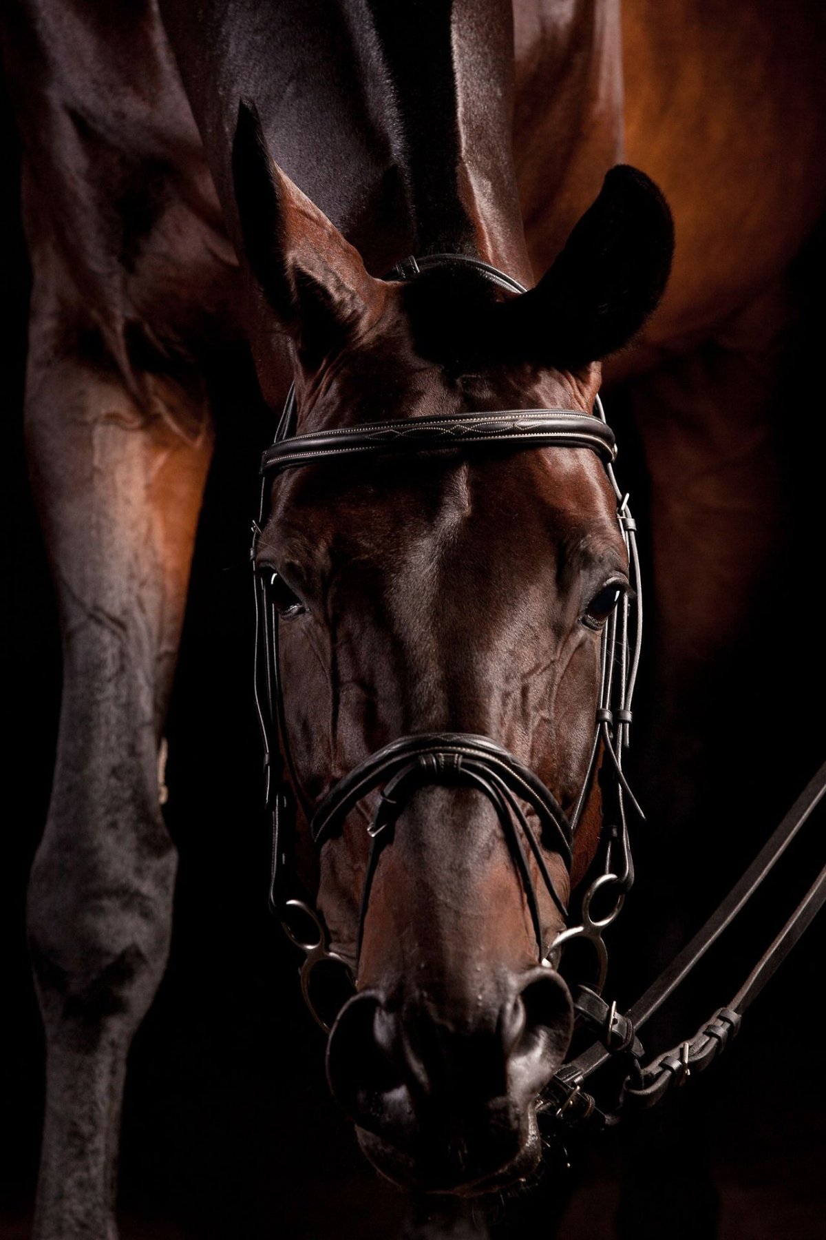 Лошадки для девочек