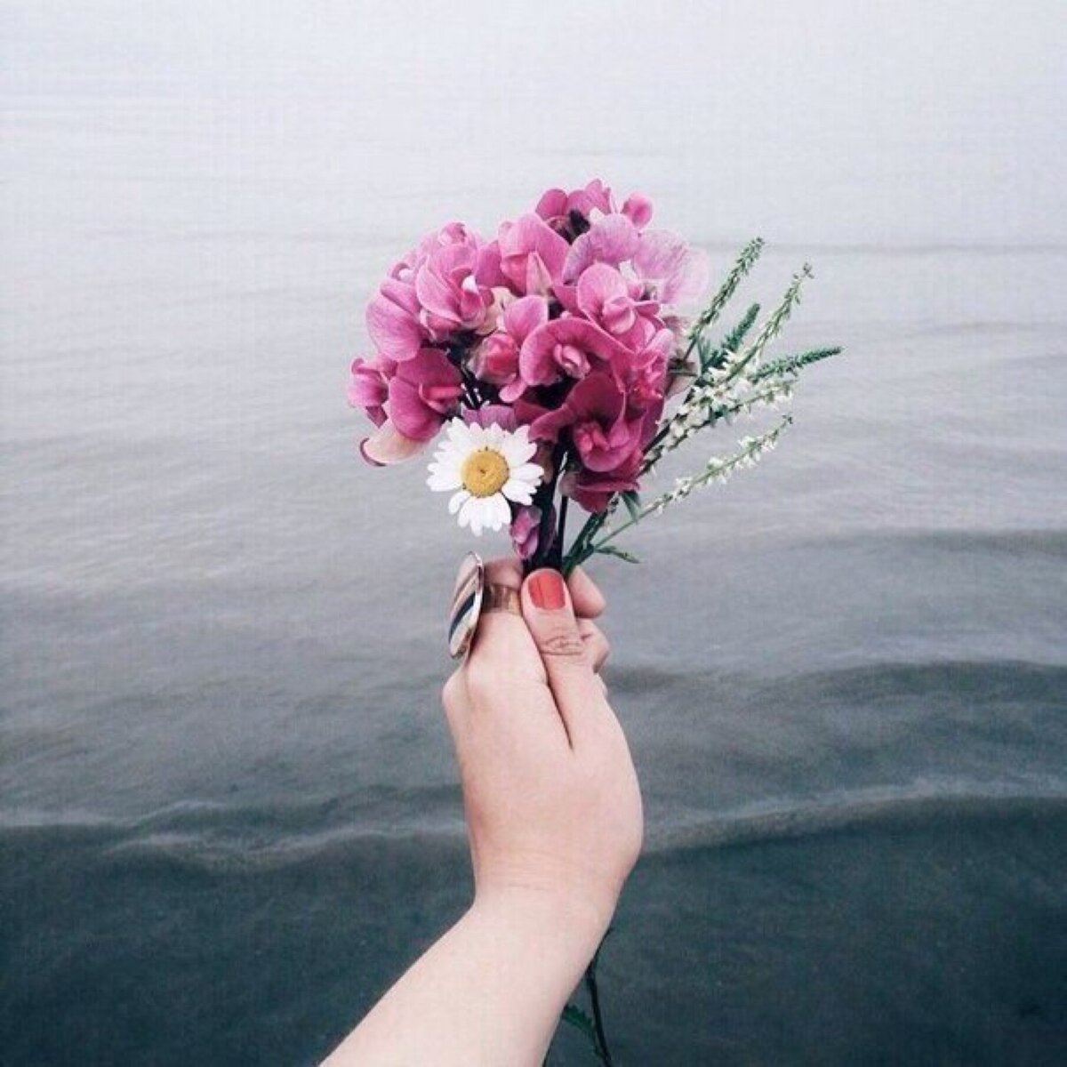 Полевые ромашки Эстетика