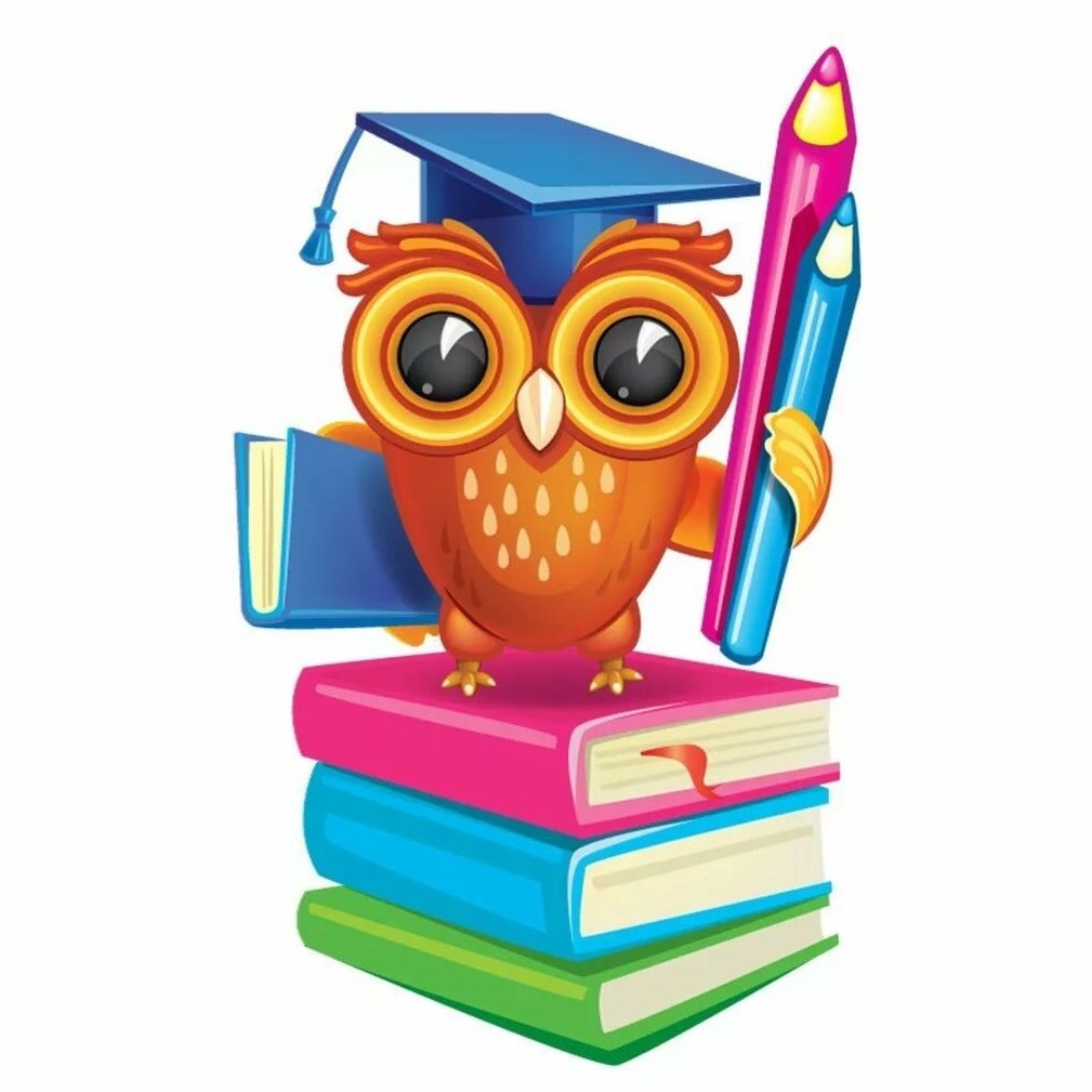 Сова с книгой