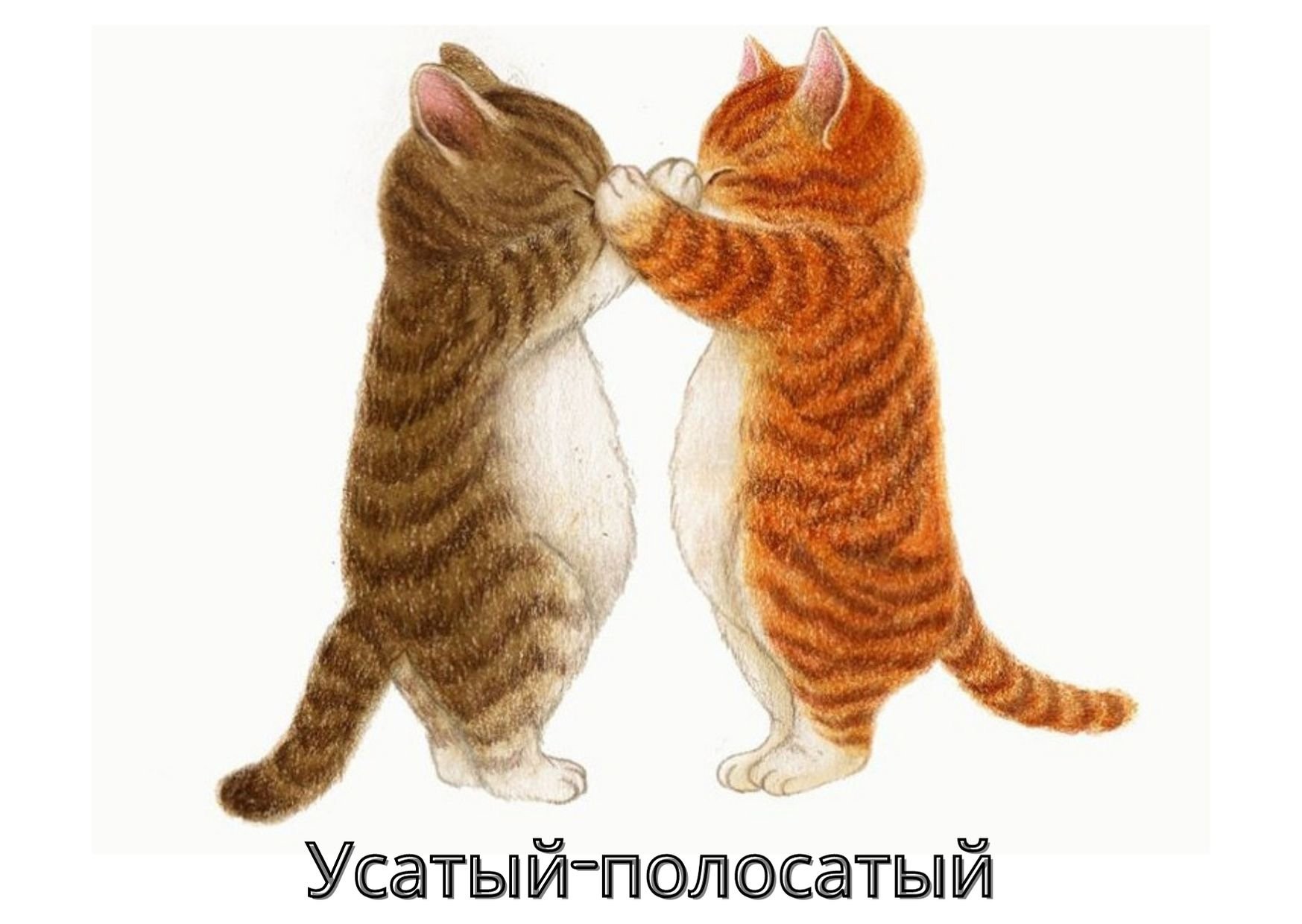 Парная аватарка с котами. Котики обнимаются. Коты обнимашки. Милые котики обнимаются. Влюбленные кошки.