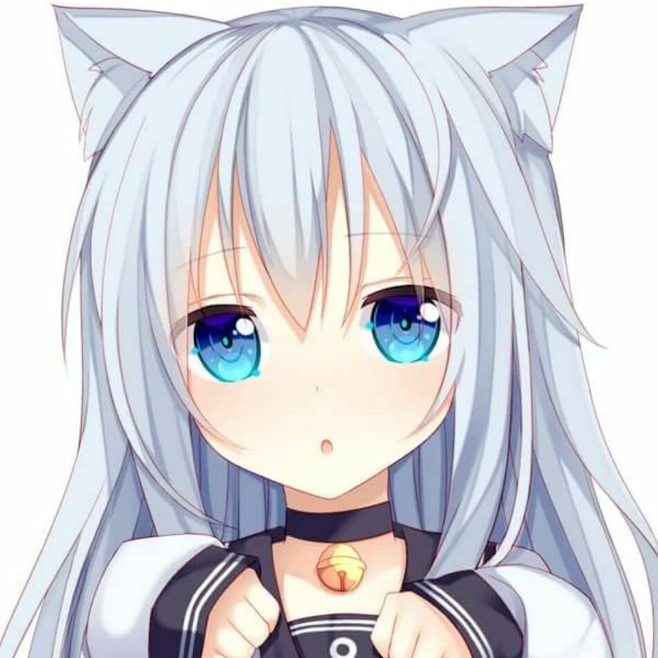 Хибики неко