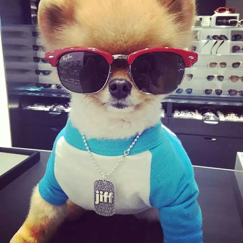 Следуй за мной