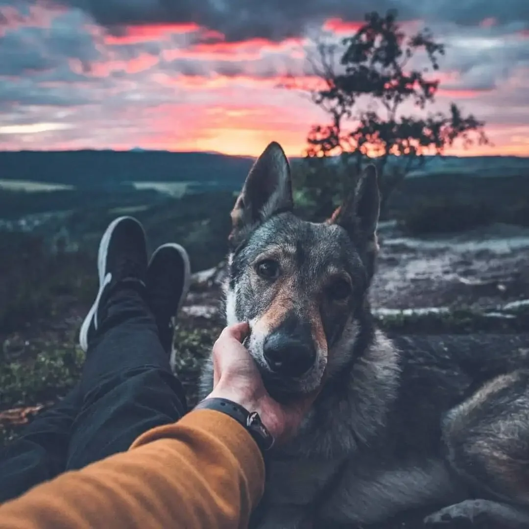 Корея дорамы Фанарт