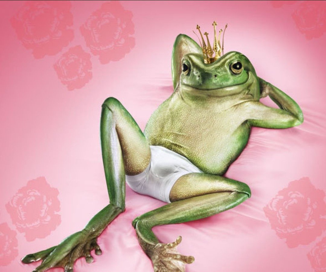 Шрек м Фиона