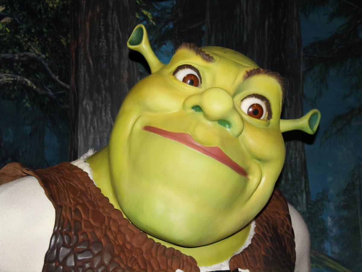 Шрек и Фиона 18