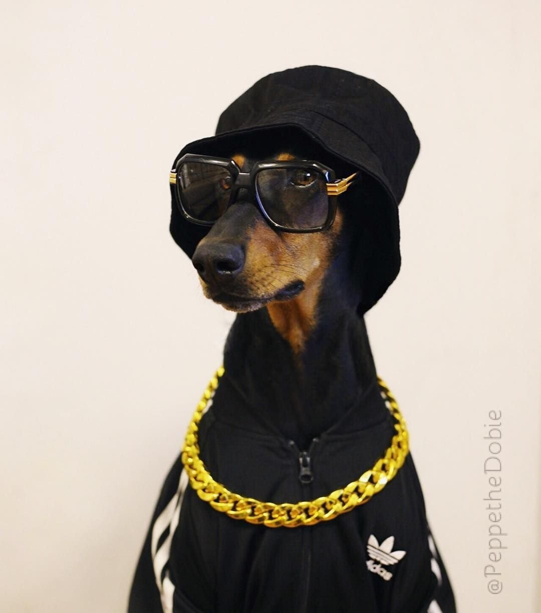 Доберман Айк