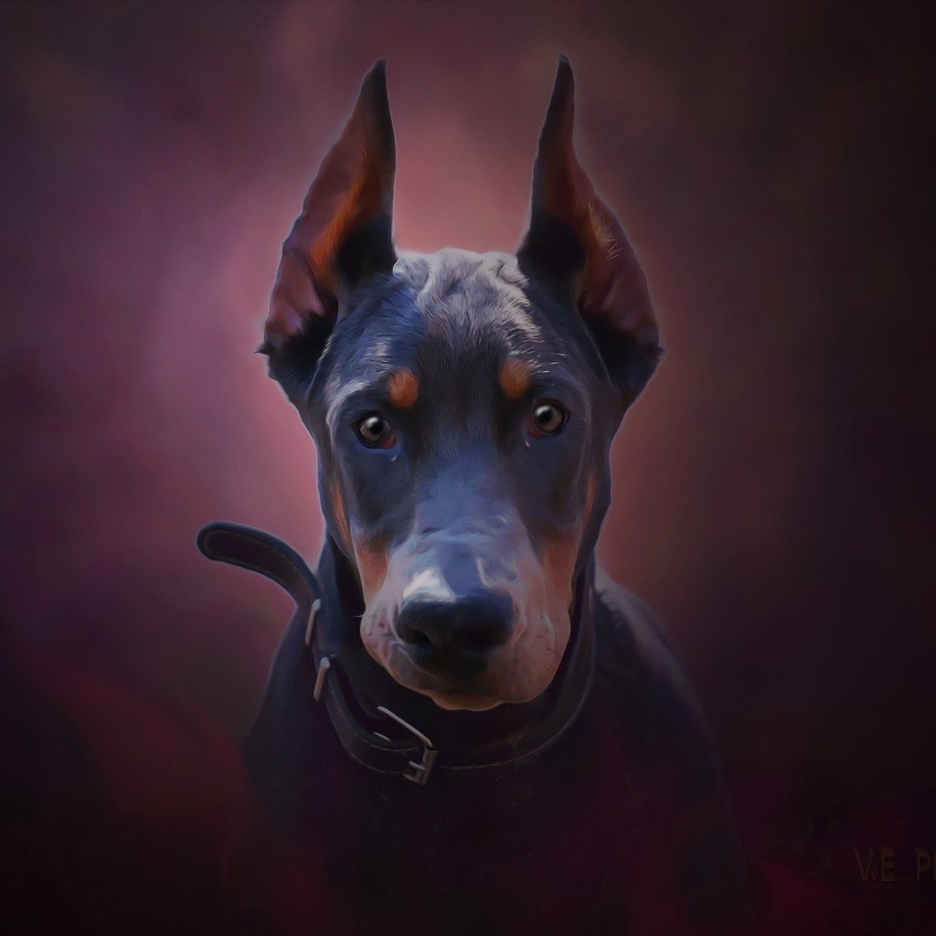 Цербер Доберман арт