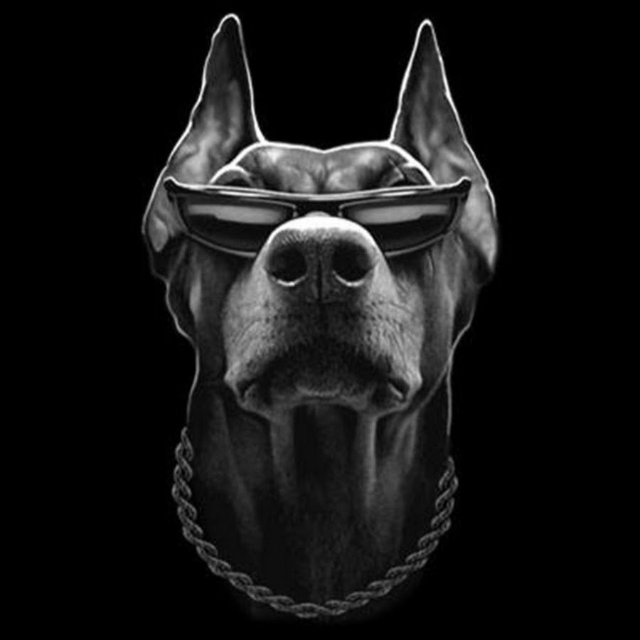 Темный Анубис