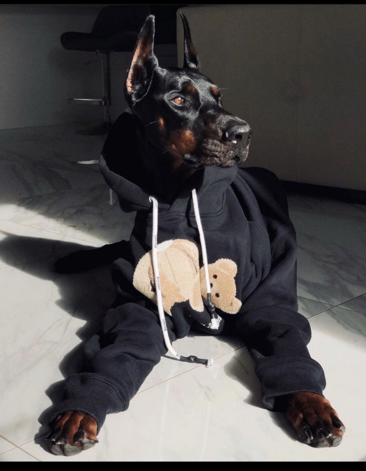 Собака арт Минимализм