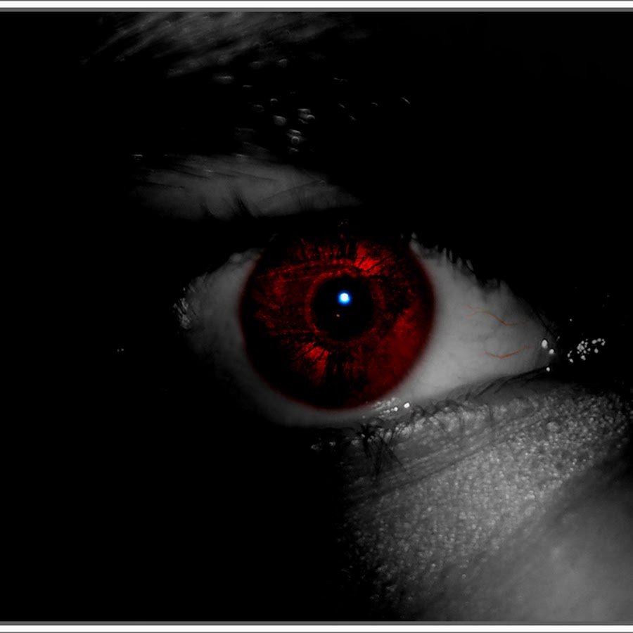Глаза в темноте
