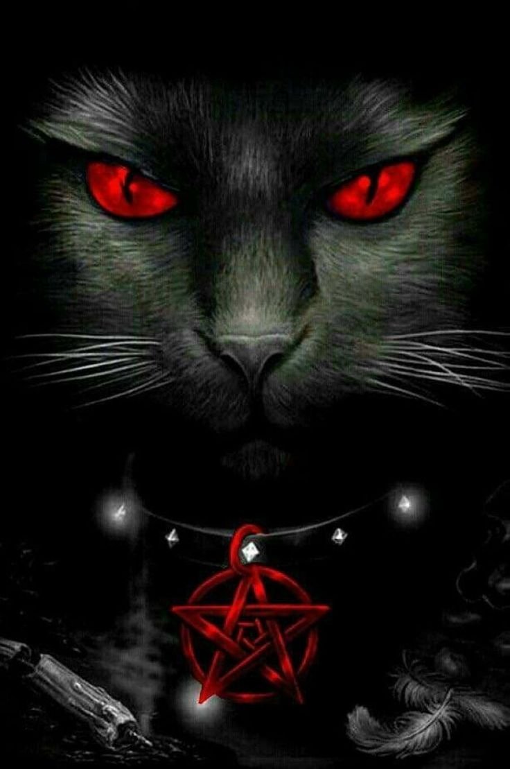 Чёрный кот с красными глазами