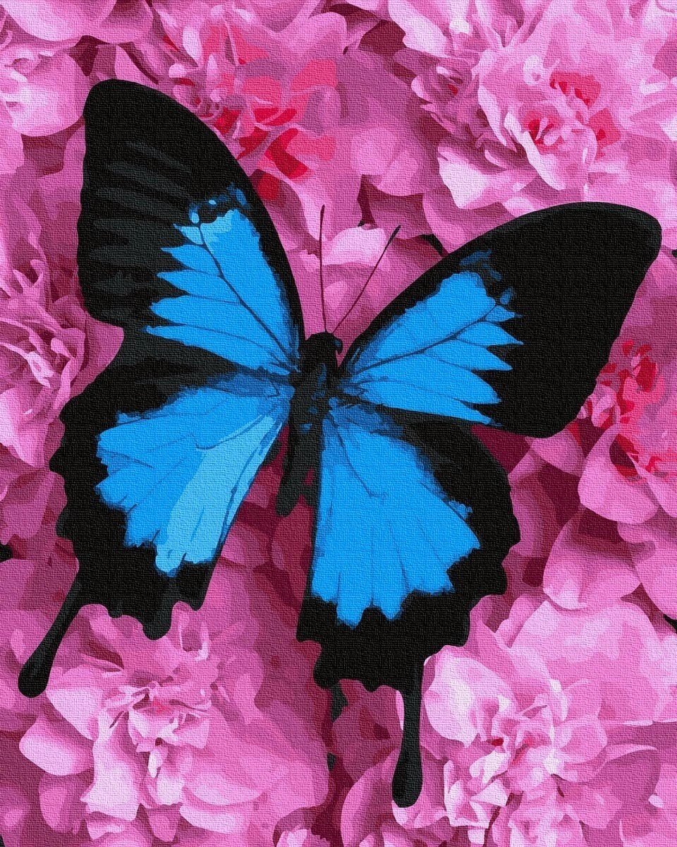 Аватарки с бабочками. Красивые бабочки. Яркие бабочки. Розовые бабочки. Бабочки в цветах.