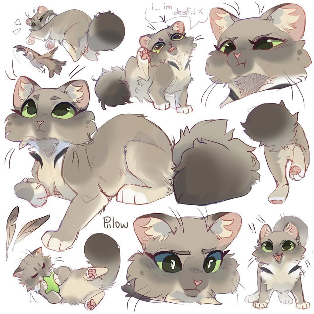 GRAYPILLOW коты Воители