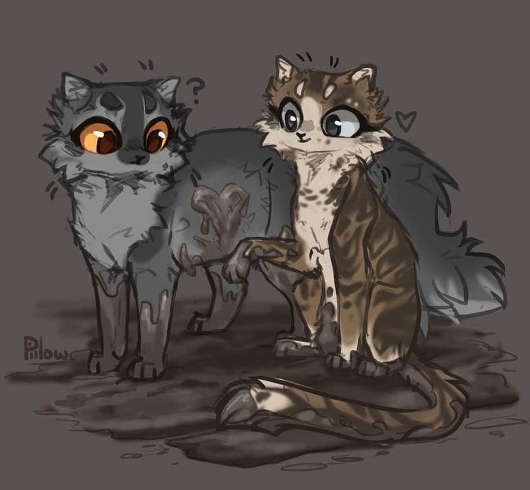 GRAYPILLOW коты Воители