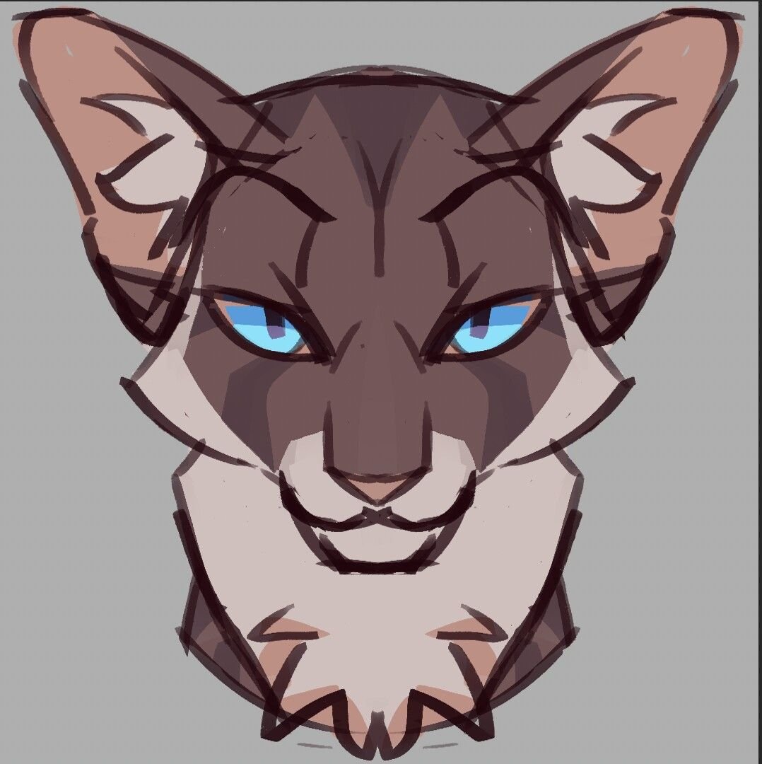Warrior Cats Hawkfrost Art