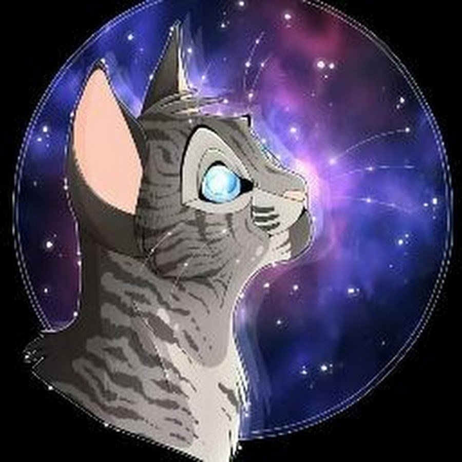 GRAYPILLOW коты Воители