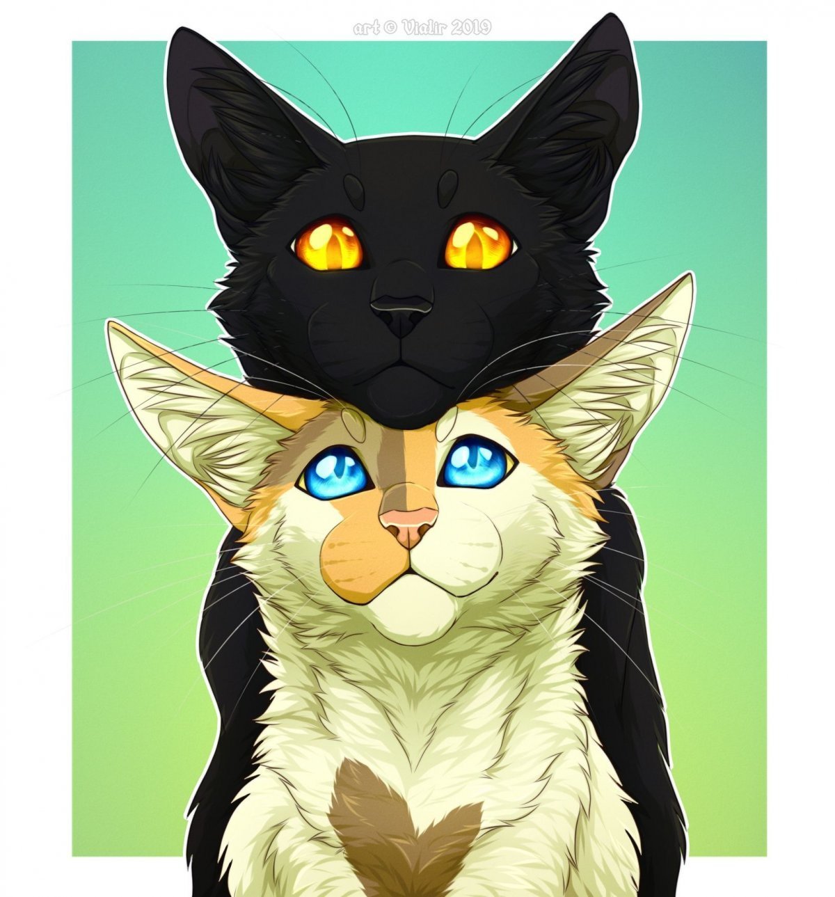 Коты Воители аниме милые