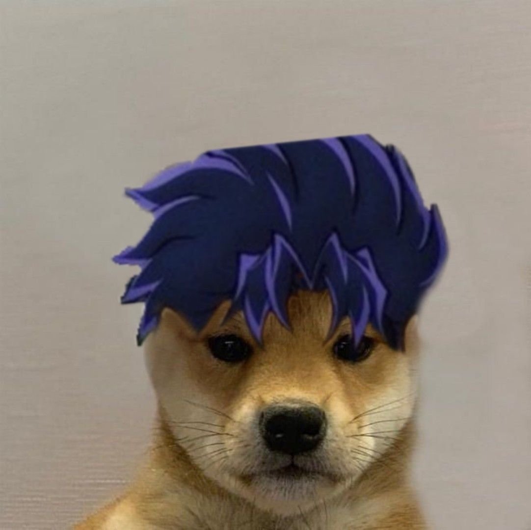 Собака Джо Джо ава