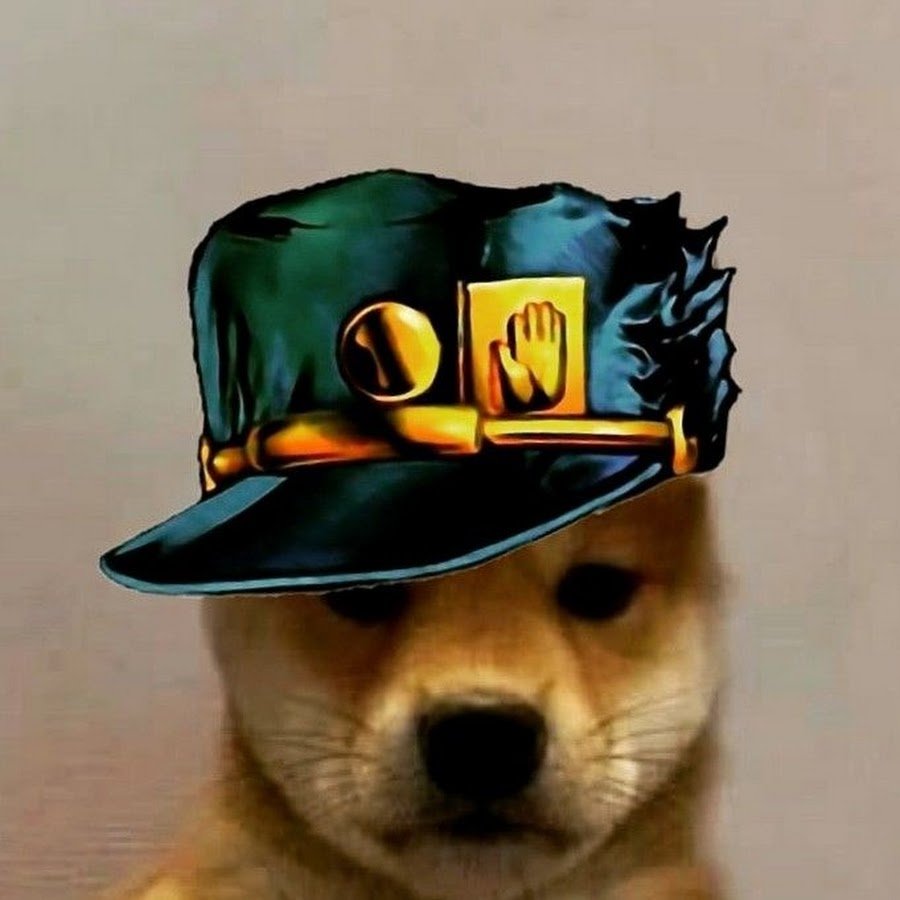 Собака Джо Джо ава