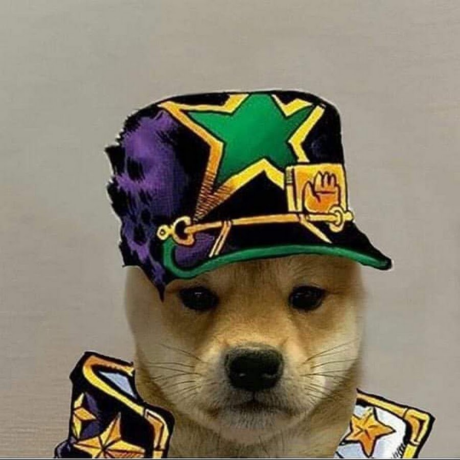 Собака Джо Джо ава