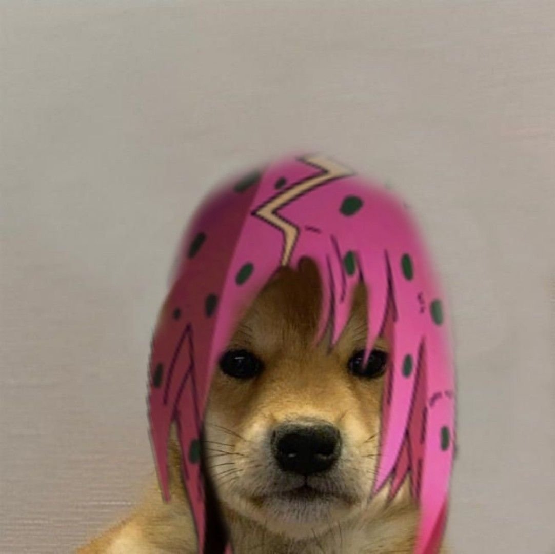 Собака Джо Джо ава