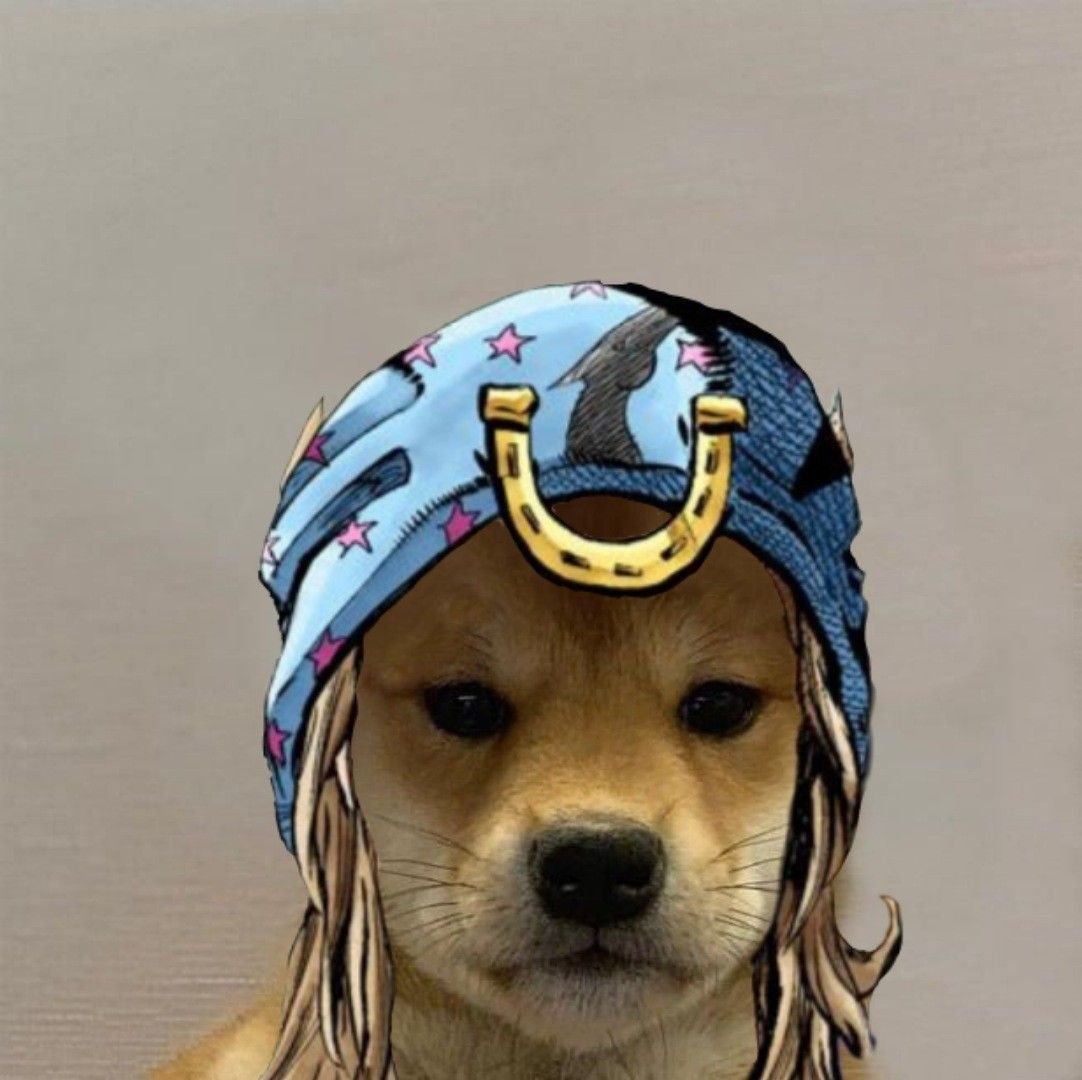 Собака Джо Джо ава