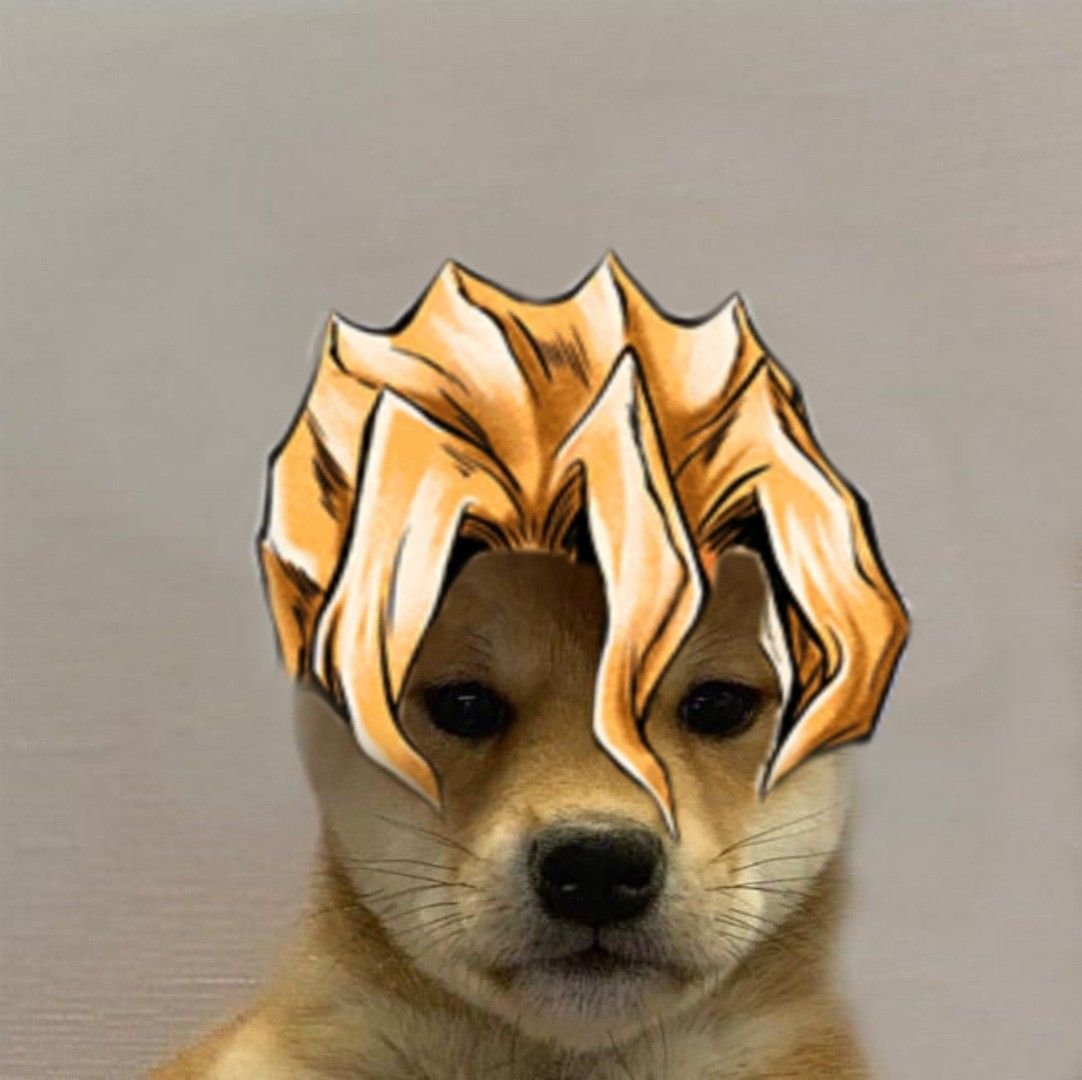 Собачки Джоджо авы